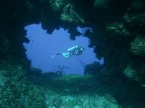 Mergulhando no Randy's Gazeboo, em Little Cayman, nas Ilhas Caiman